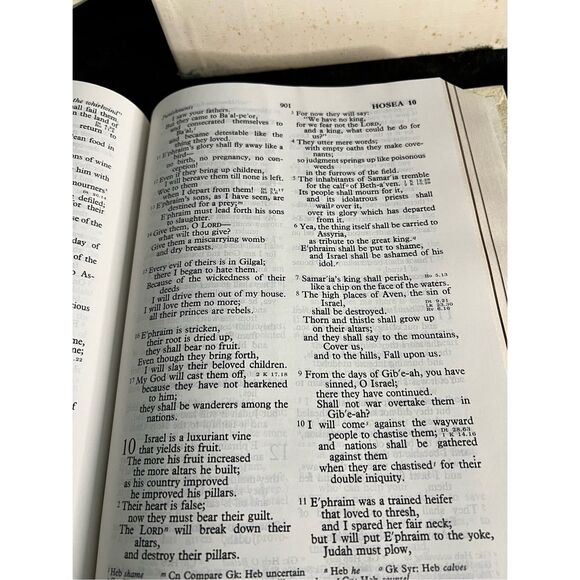 New Holman family verse reference jewel bible - Picture 8 of 10